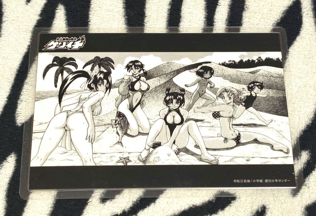 希少!! 史上最強の弟子ケンイチ イラストカード 水着 松江名俊 ラミネート済