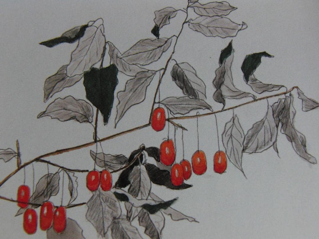 斎藤清、「想出　グミ」、希少な画集の額装画、オーダーマット付・日本製新品額入り