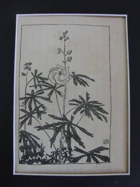 石井柏亭、草の花(1)、明治、希少な額装用画集より、新品高級額装付、状態良好