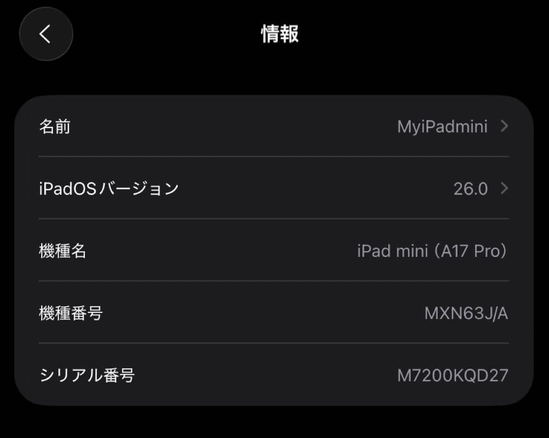 【極美品】iPad mini 第7世代（A17Pro Wi-Fiモデル）
