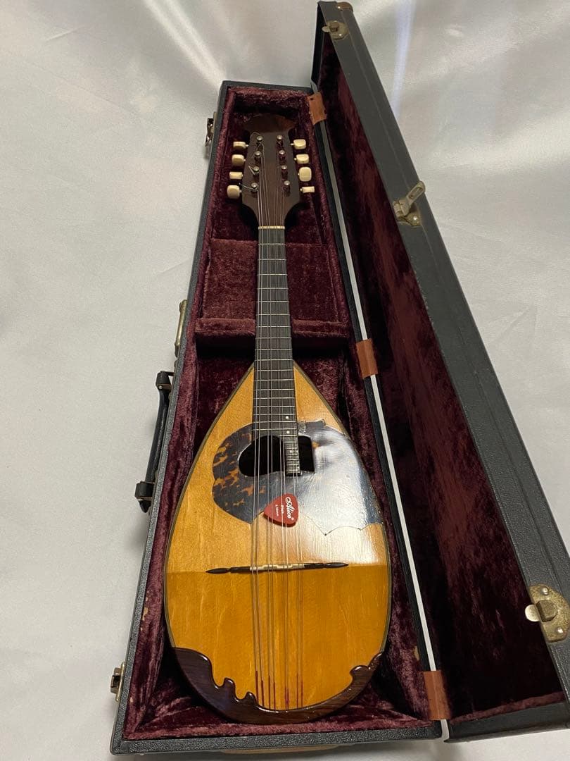 1943❣️ S.watanabe 渡辺　マンドリン ハードケース付き 1970