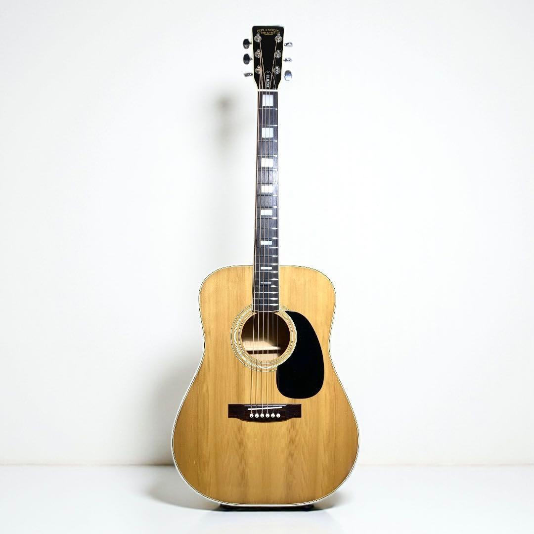 SPLENDOR スプレンダー 国産ドレッド 美品 杢メイプル