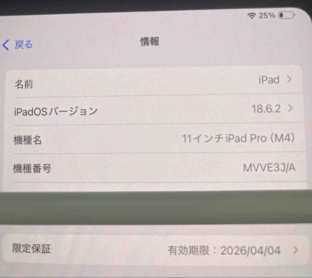 iPad Pro 11インチ Wi-Fi 1TB 付属品多数あり！