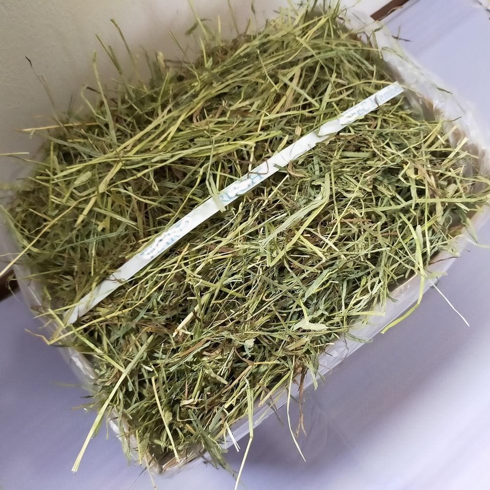 US産 チモシー 50kg ２番刈 ソフトSプレミアム