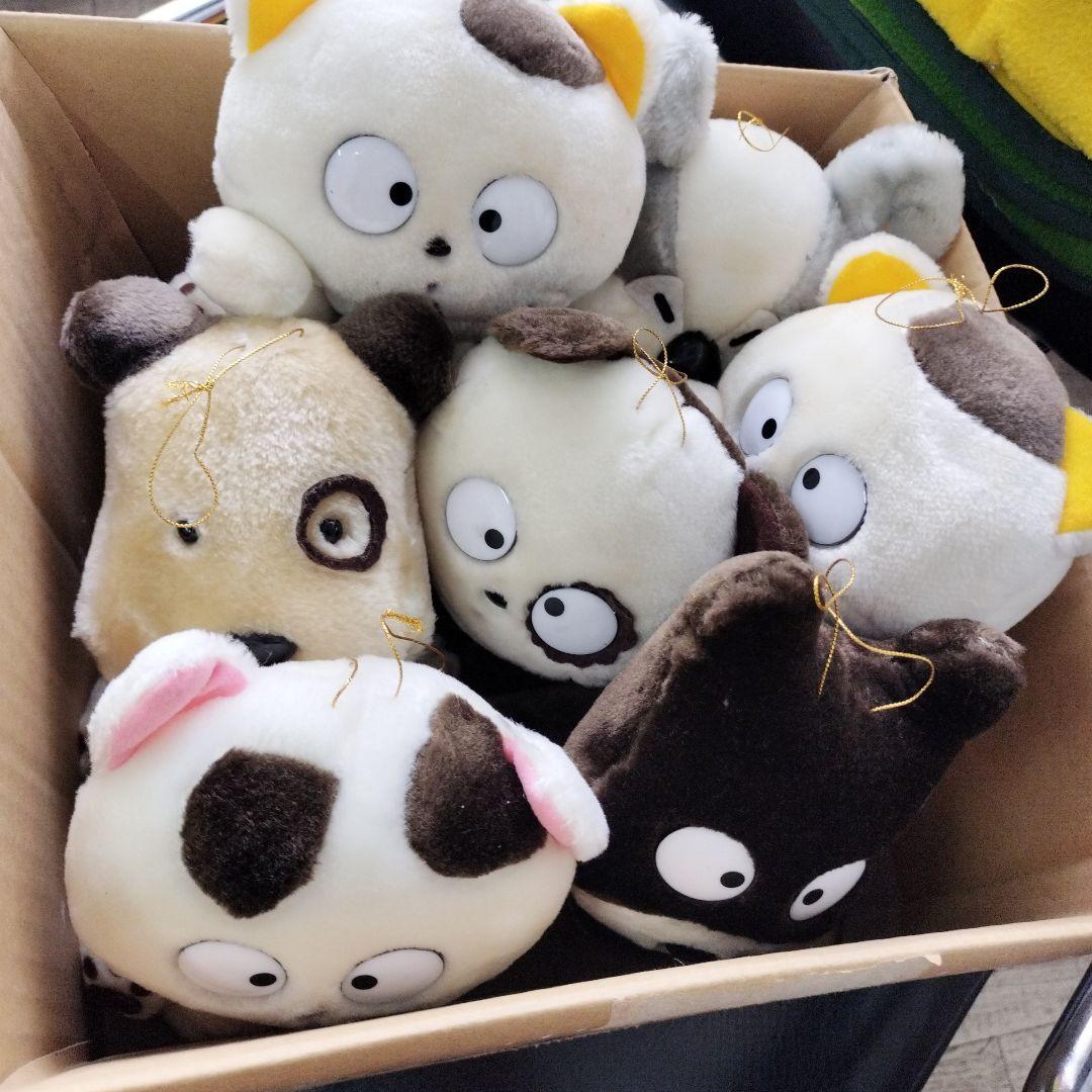 うちのタマ知りませんか　ぬいぐるみ