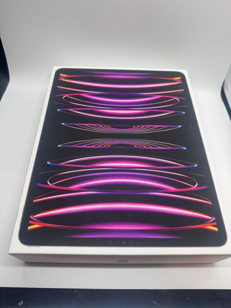 超美品 Apple iPad Pro 12.9 第6世代 256GB Wi-Fi