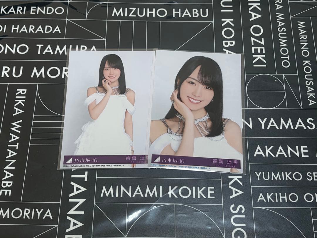 賀喜遥香 生写真 My respect アルバム 封入 乃木坂46 完全生産