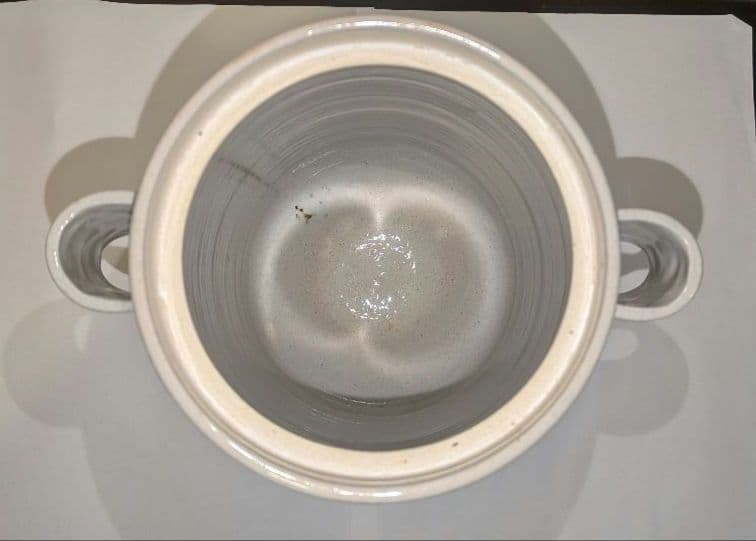 『陽炎園』月に雁絵　耳付き水指　細水指　膳所焼　茶道具　共箱共布　秋月見