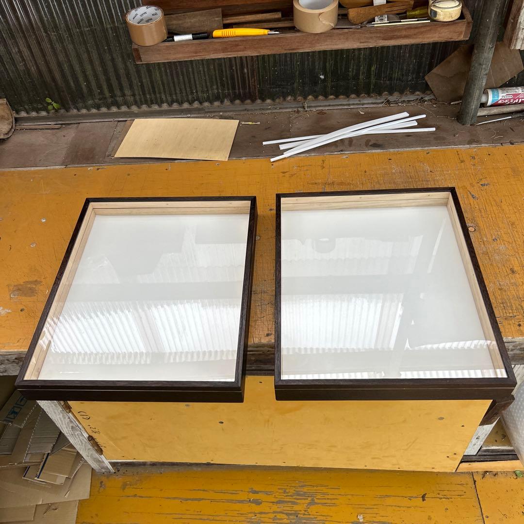 大型標本箱 2箱