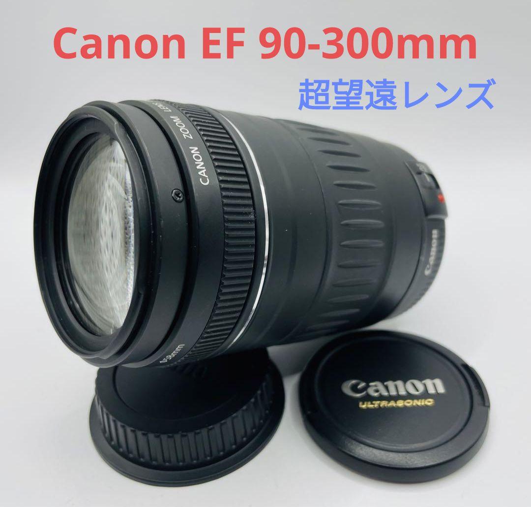 2月5日限定価格♪【超望遠レンズ】Canon EF 90-300mm