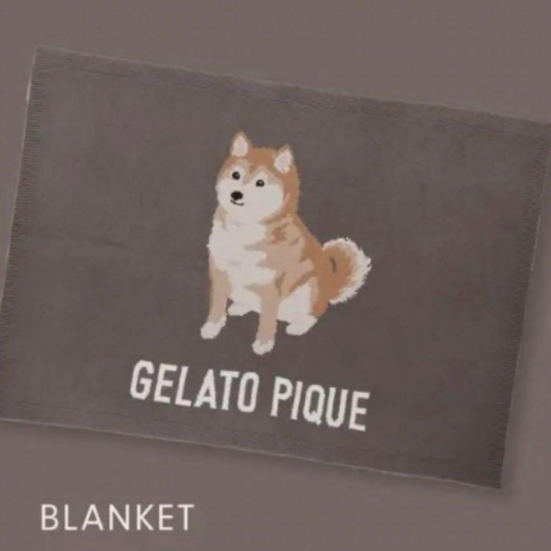 柴犬　ブランケット　グレー　ジェラートピケ 限定デザイン