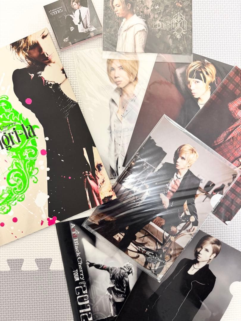acid black cherry クリアファイル/ポストカード/メモ/パンフ
