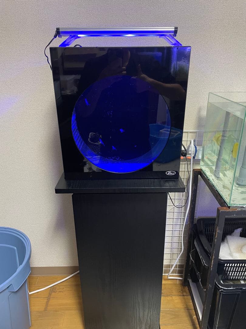 クラゲ水槽　海月水景　persona plax 円形水槽