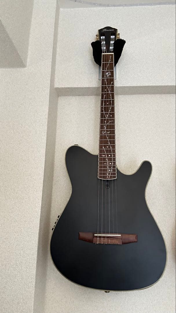 ギター Ibanez TOD10N