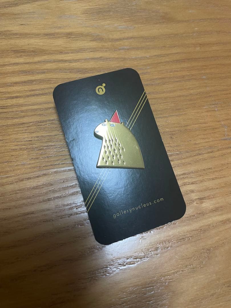 Jon Klassen / ジョン・クラッセン　ピンバッジ どこいったん