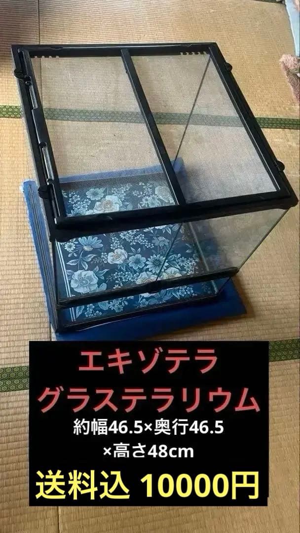 ガラス製 爬虫類 両生類 飼育ケージ エキゾテラ 4545
