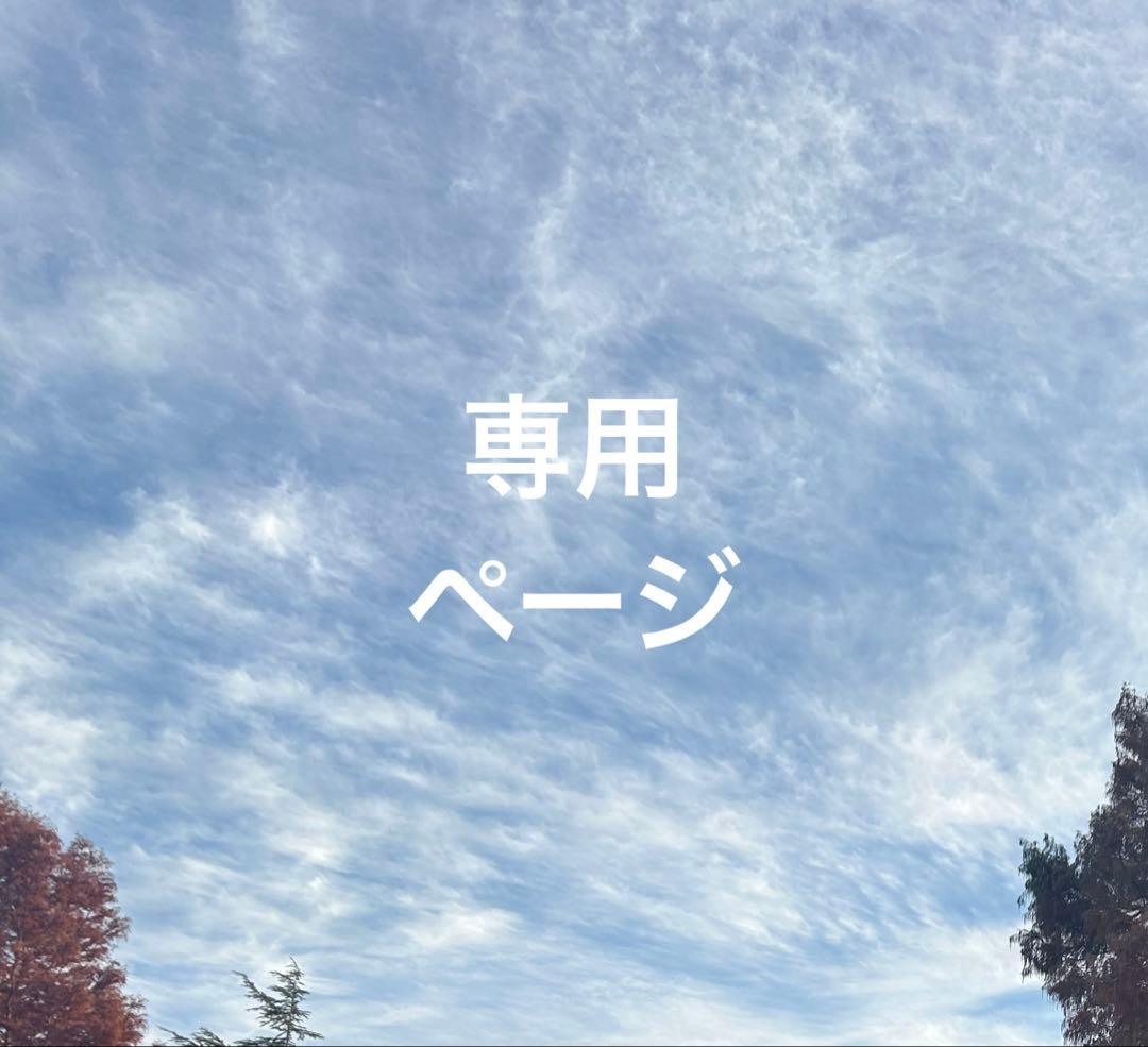 はるぴょん様 リクエスト 2点 まとめ商品