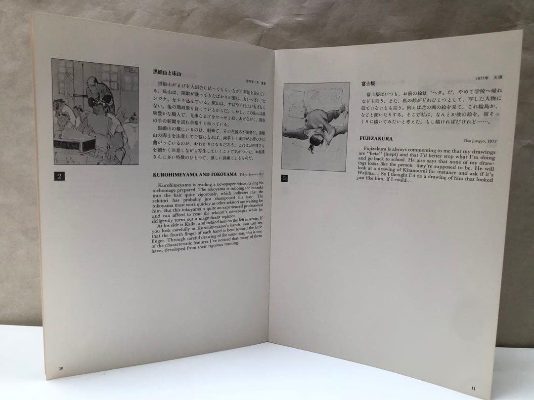 リン・スターム・レヴィ画集 相撲の世界