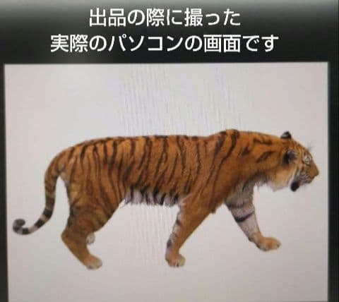 未開封多★グレンドーマンビッツの世界 CD-ROM全10巻＋関連本★9万円で購入