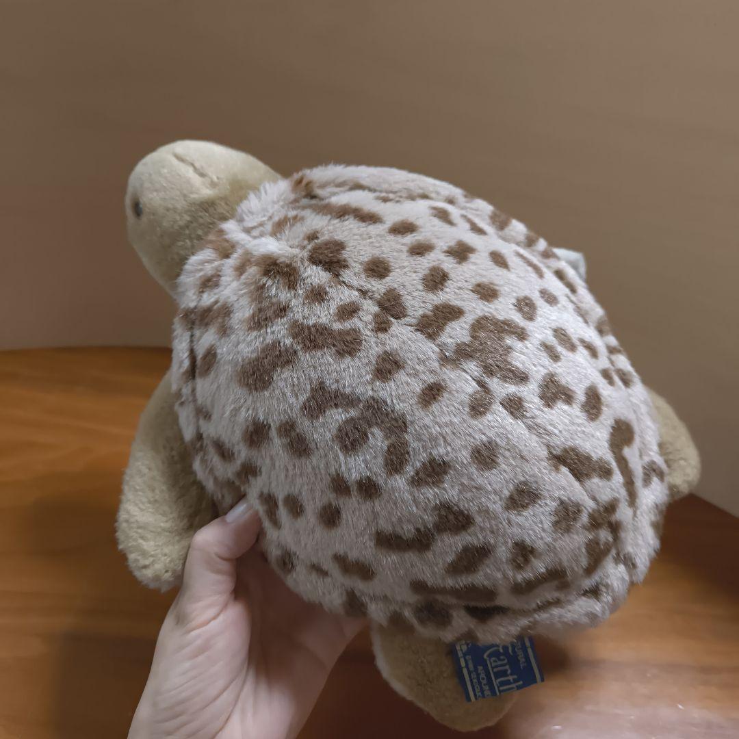 Earth Wind セキグチ　ウミガメ　ぬいぐるみ　アースウィンド　海亀
