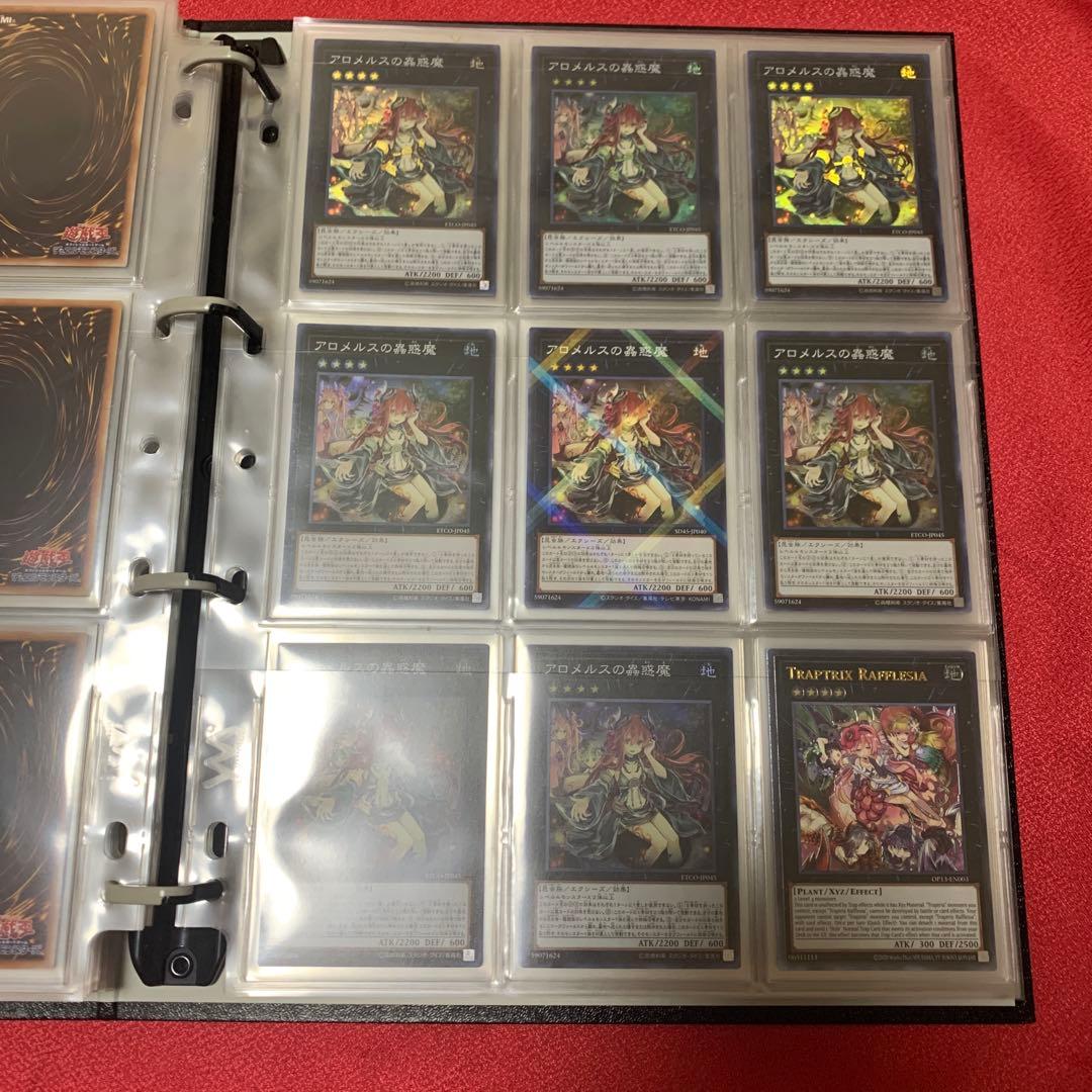 遊戯王　ファイル