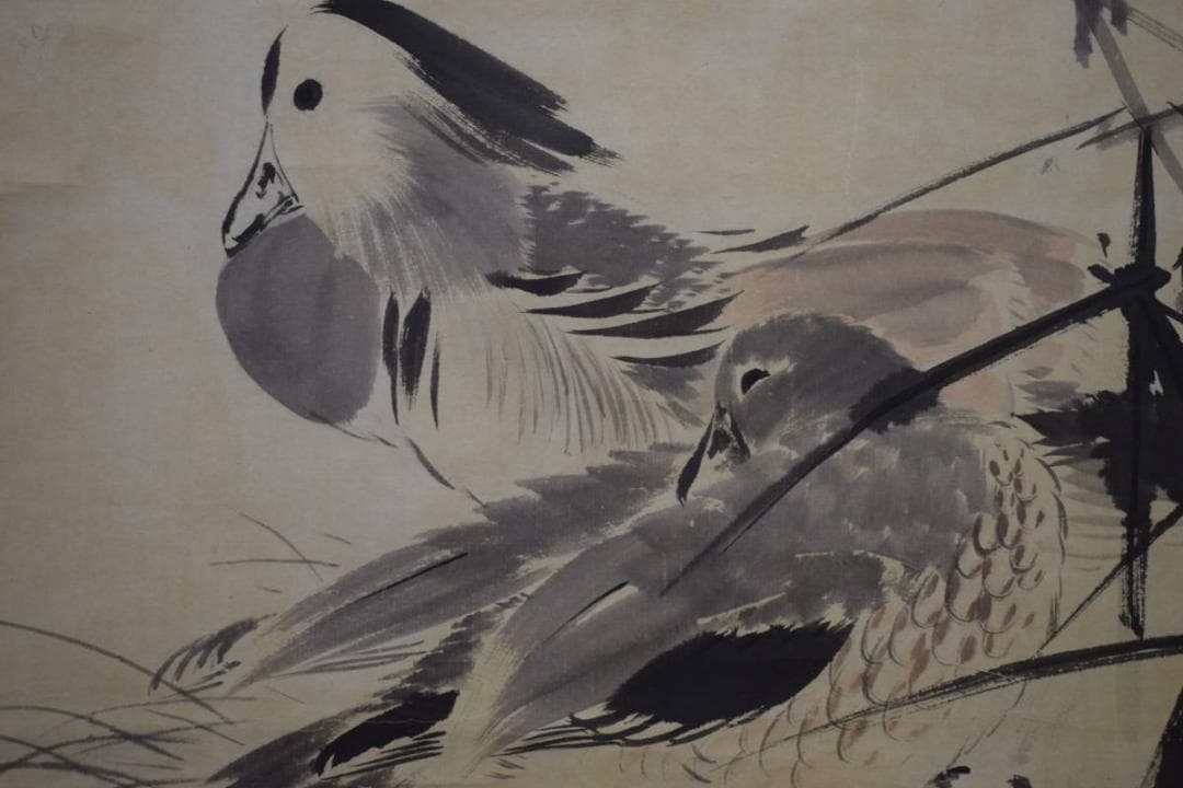 真作/河合文林/オシドリ図/鴛鴦図/布袋屋掛軸HI-15