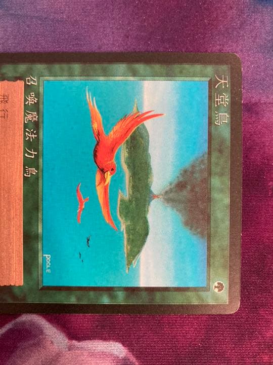 FBB 4th 極楽鳥　中1枚　繁体字　MTG