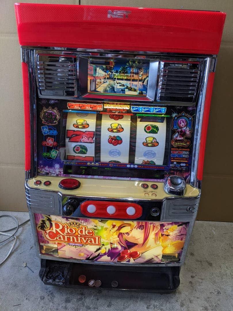 リオデカーニバル 実機　送料込