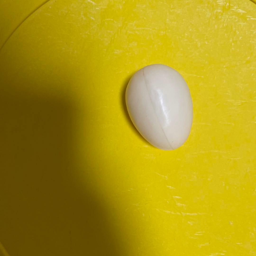 押すと音が出る伝説の卵