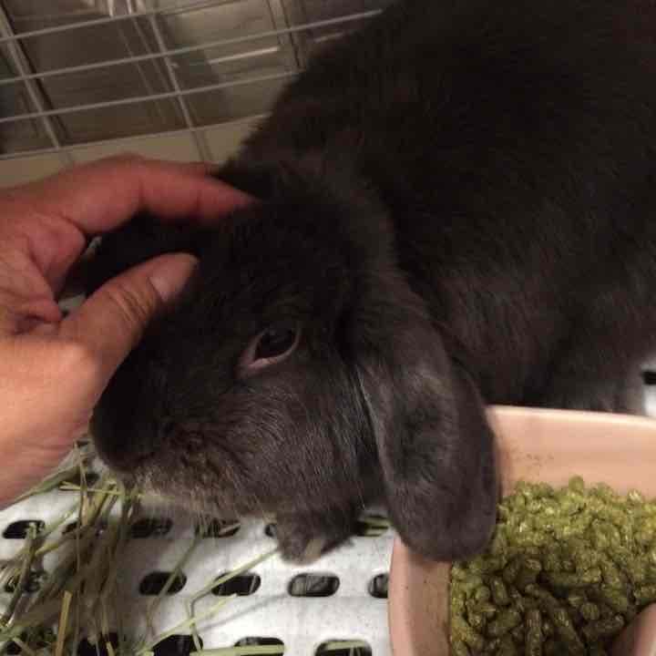 ハンドメイド画像