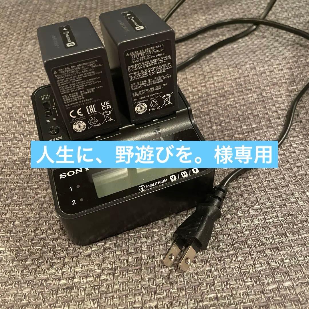 SONY ActiFORCE 充電器 バッテリー2個付き
