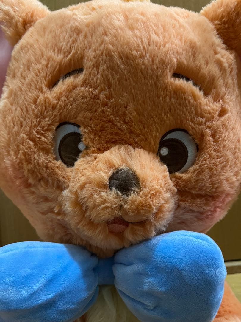 トゥルーズ★ぬいぐるみ★ブランケット付き★約50cm★コストコ★おしゃれキャット