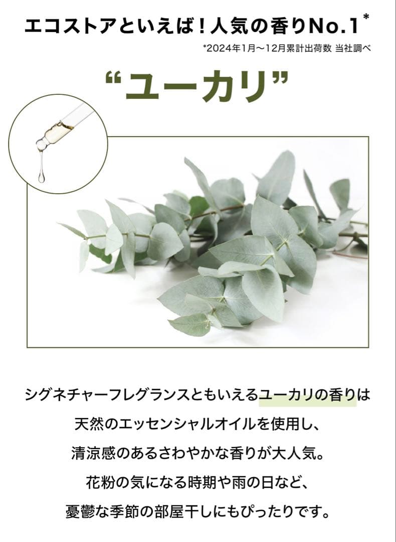 ecostore（エコストア）洗濯洗剤(ユーカリ)＆柔軟剤(シトラス)5Lセット