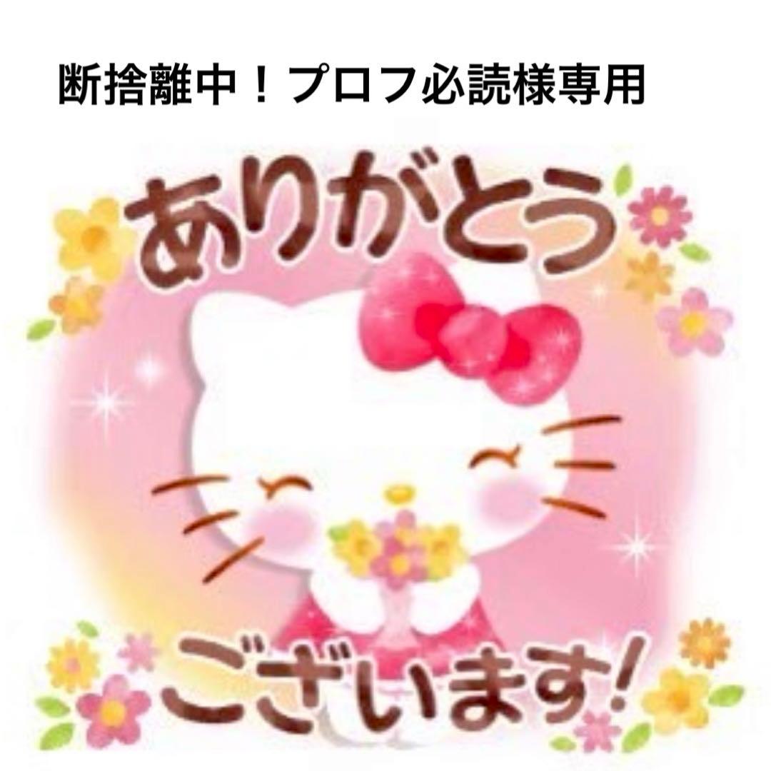 断捨離中！プロフ必読