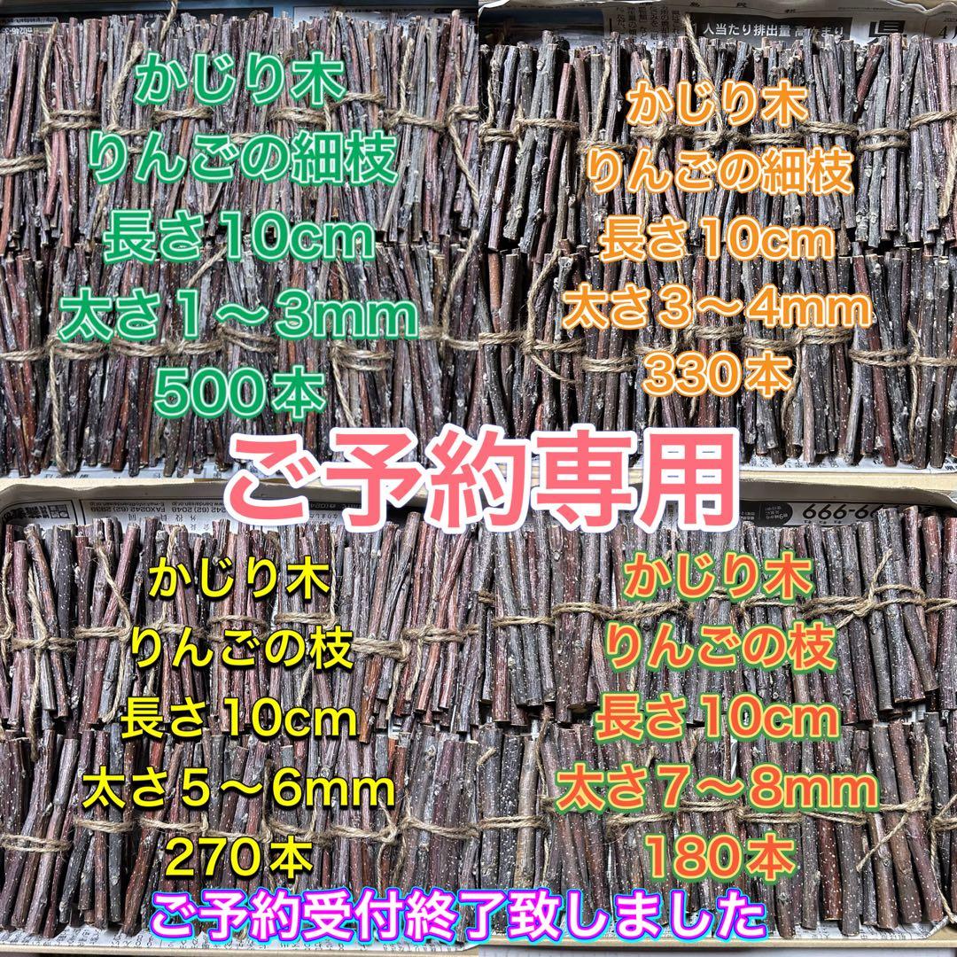 ご予約専用　かじり木　りんごの枝　福島県産　長さ10cm 太さは商品説明に記載