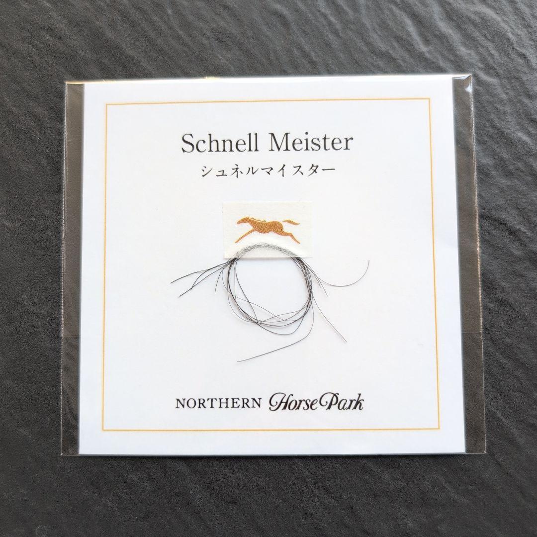 ☆競馬☆シュネルマイスター☆たてがみ☆ノーザンホースパーク