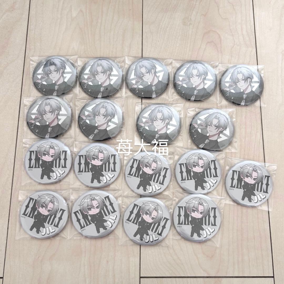 Element Sicks JIL缶バッジ 18点