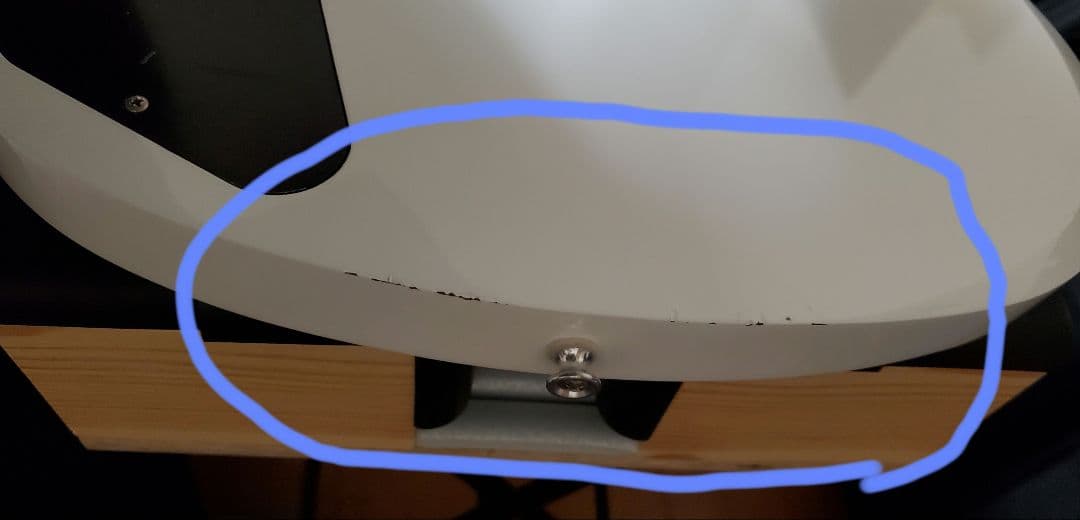 FGN NSG100-SW[カリマンタン・エボニー指板]