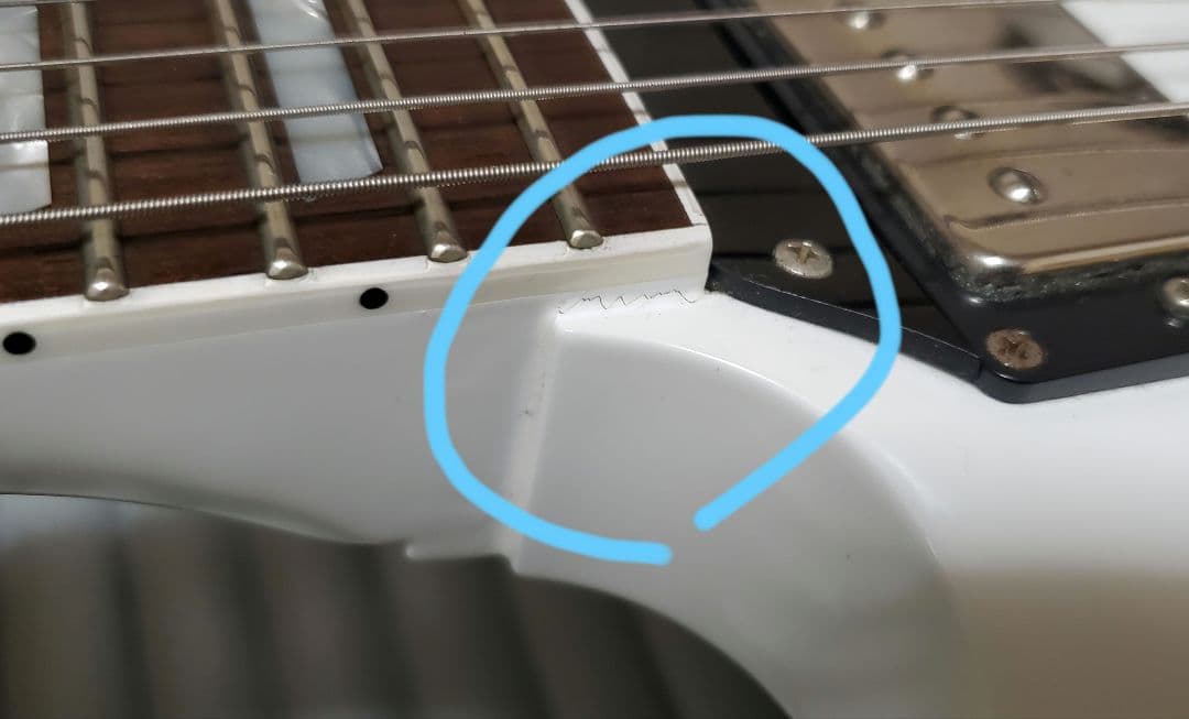 FGN NSG100-SW[カリマンタン・エボニー指板]