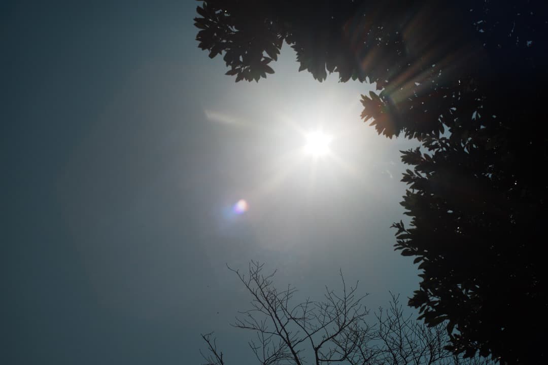 【この値段でライカ級】富岡光学製 XR RIKENON 50mm F2 987