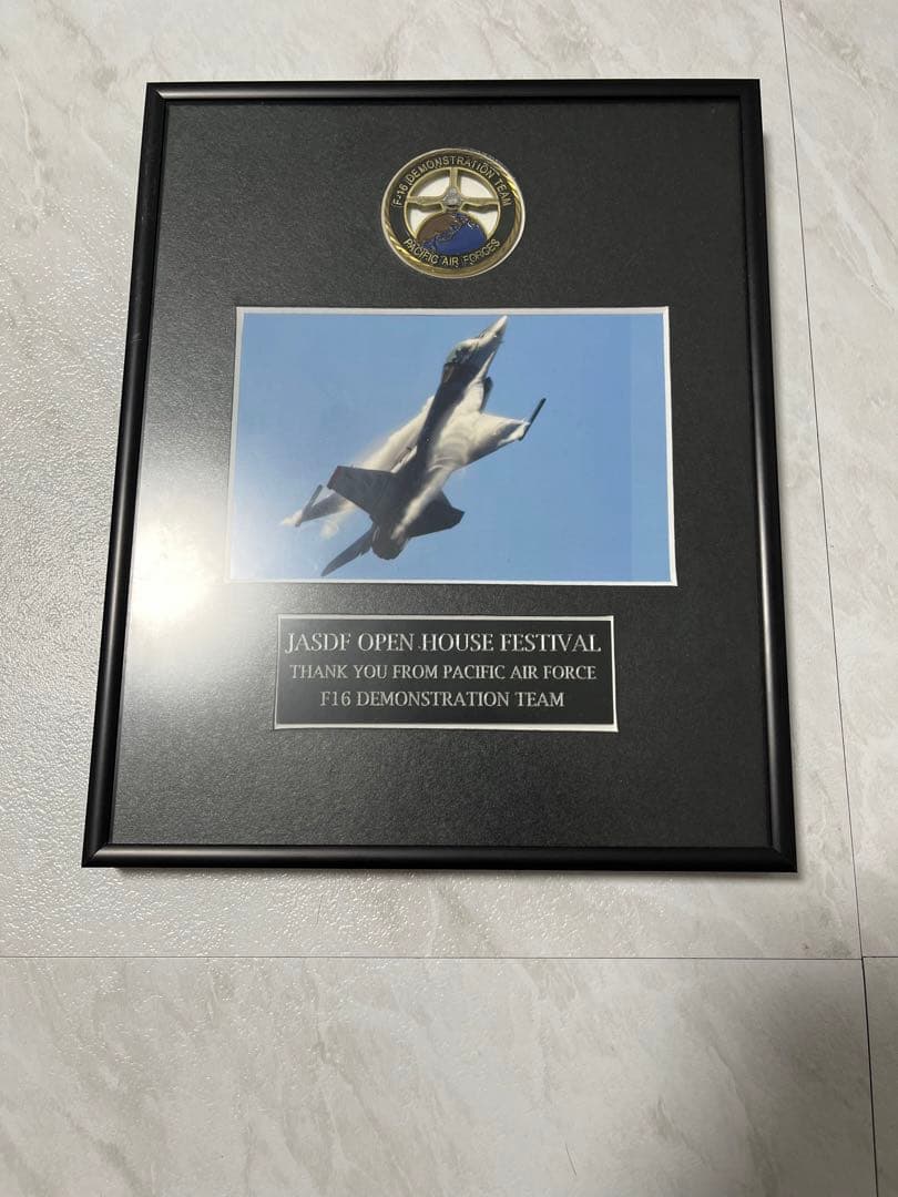 F16 デモンストレーションチーム 記念フレーム メダル付き