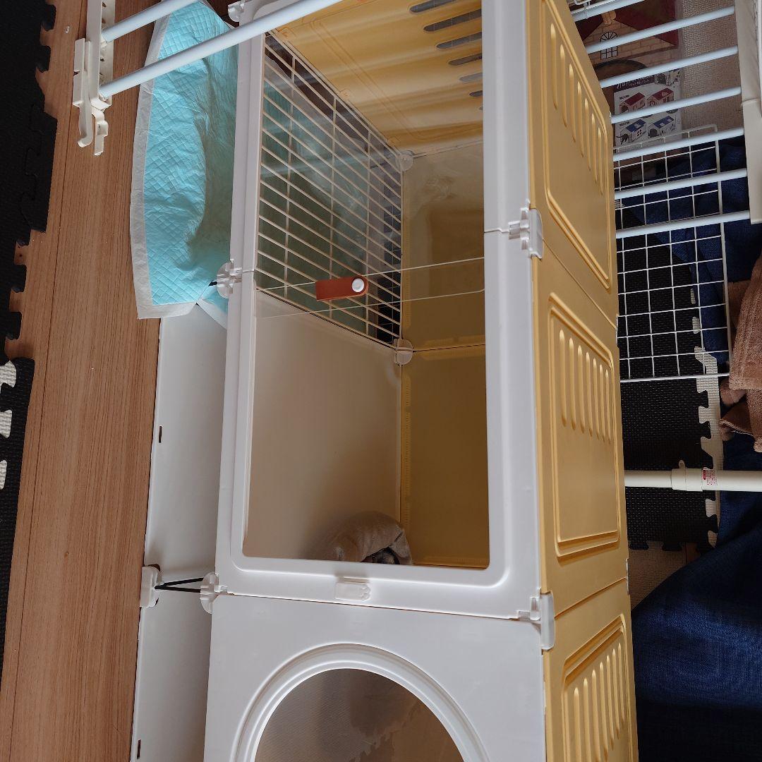 イエローとホワイトの犬用ケージ