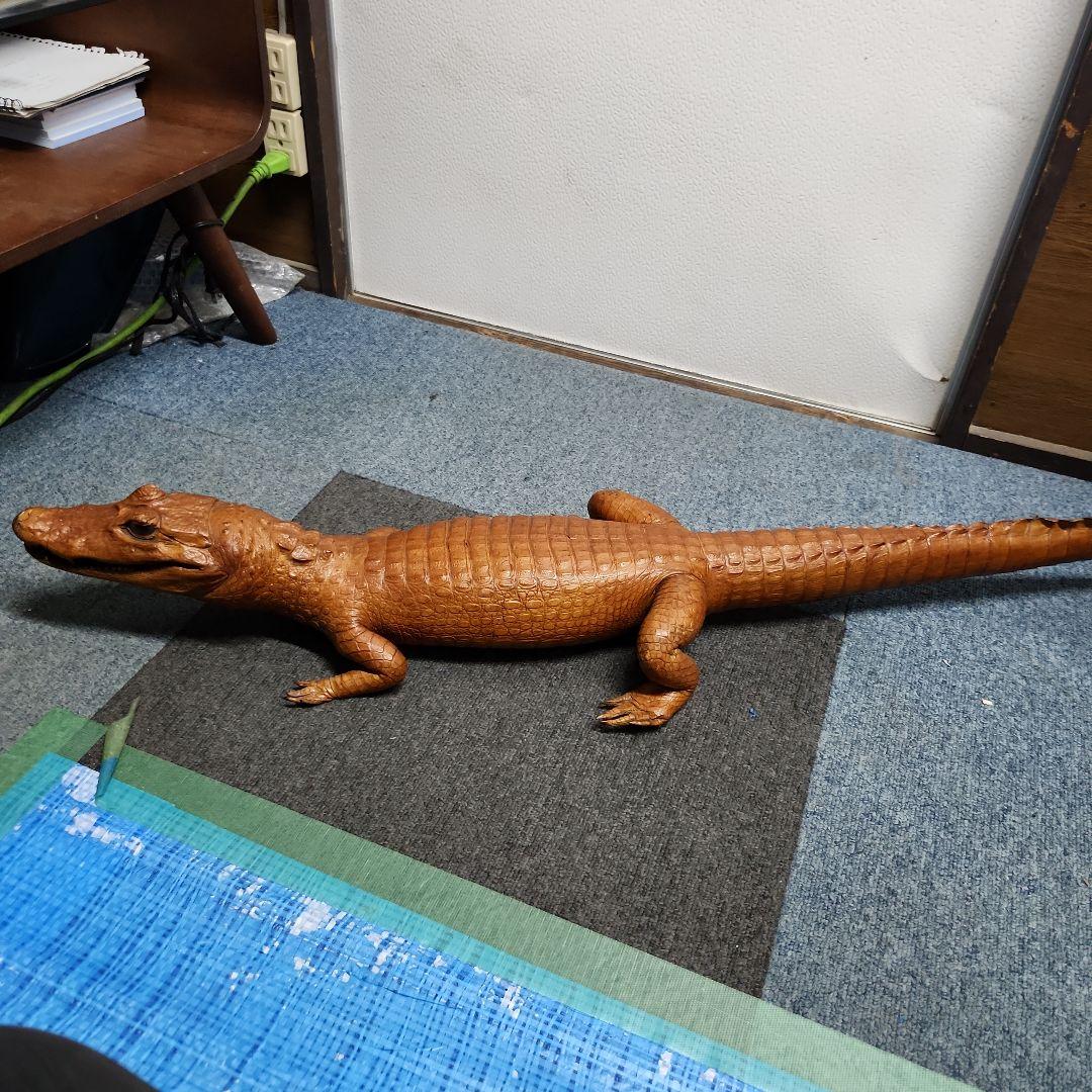 ワニ 剥製？ ブラウン 約1m