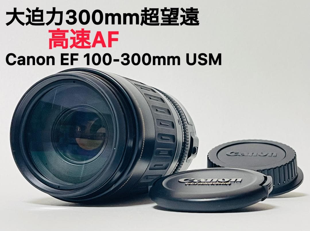 レンズ(ズーム) Canon EF 100-300mm 4.5-5.6 USM