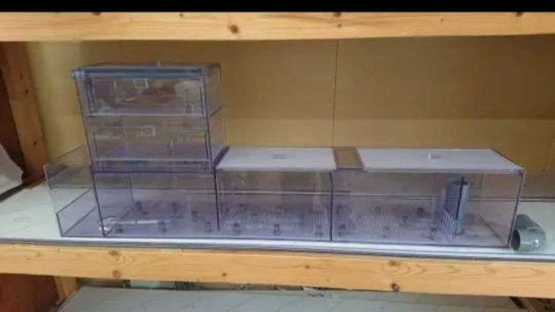 sakana　120用　オールホワイト　上部フィルター