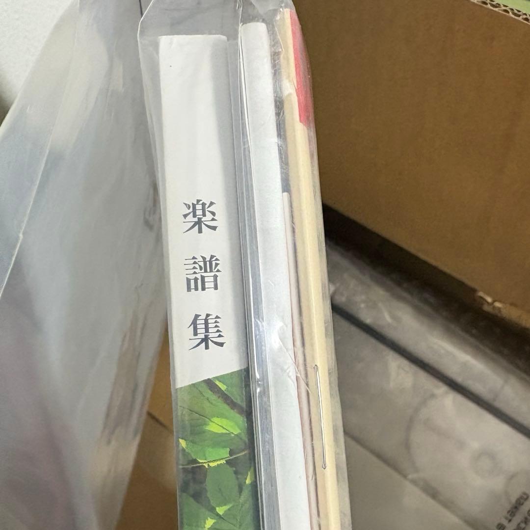 CASIO LK-526 光ナビゲーションキーボード 61鍵 ホワイト