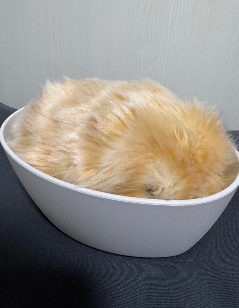 moflin モフリン カシオ AIロボットペット