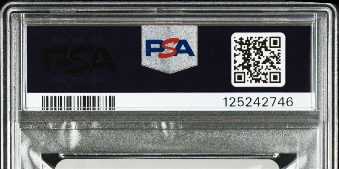 【PSA10】黒雪姫 / 黒羽早雪 / ブラックロータス アクセルワールド 水着