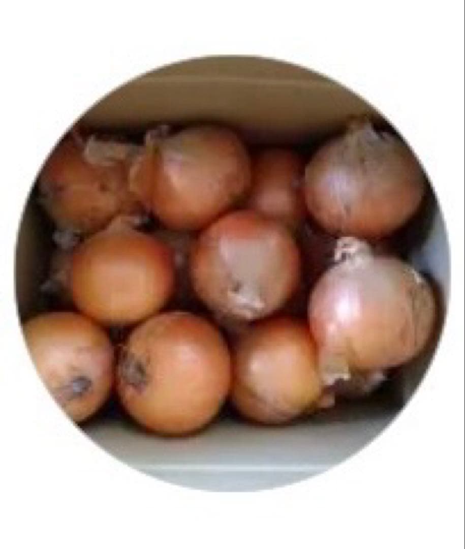 たまねぎ屋みーちゃんページ