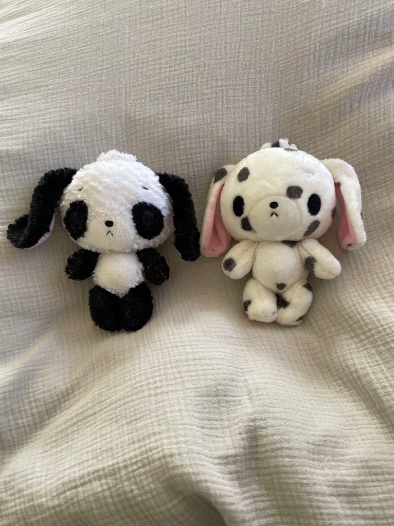 シュガーバニーズ　パンダ　ぶち